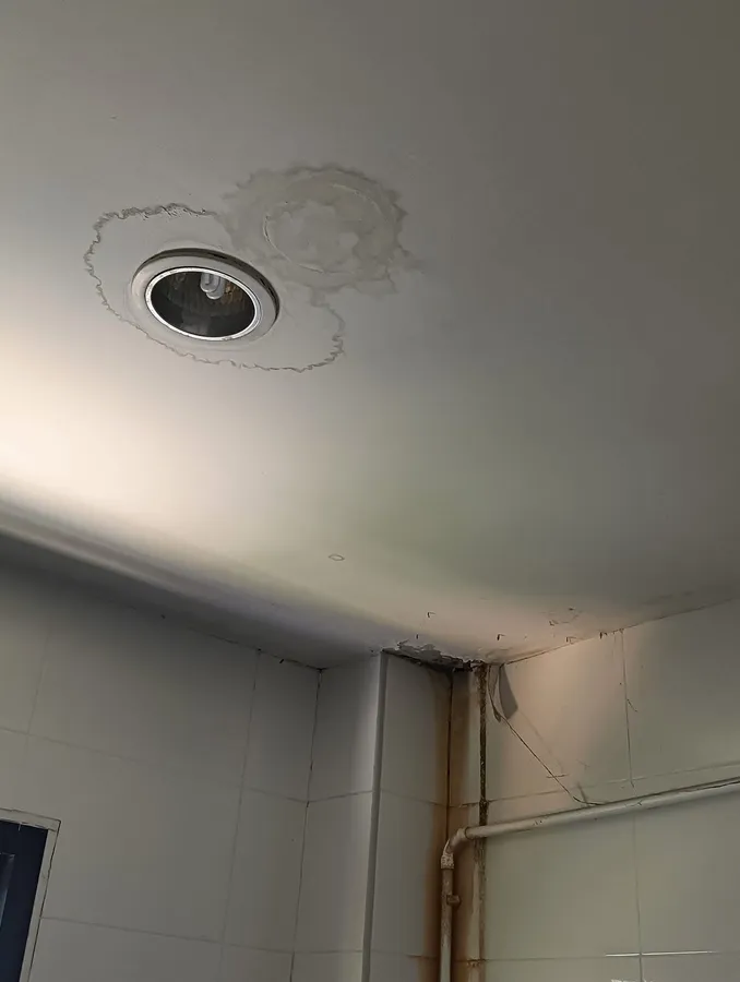 Ceiling mold in bathroom — result of tropical humidity