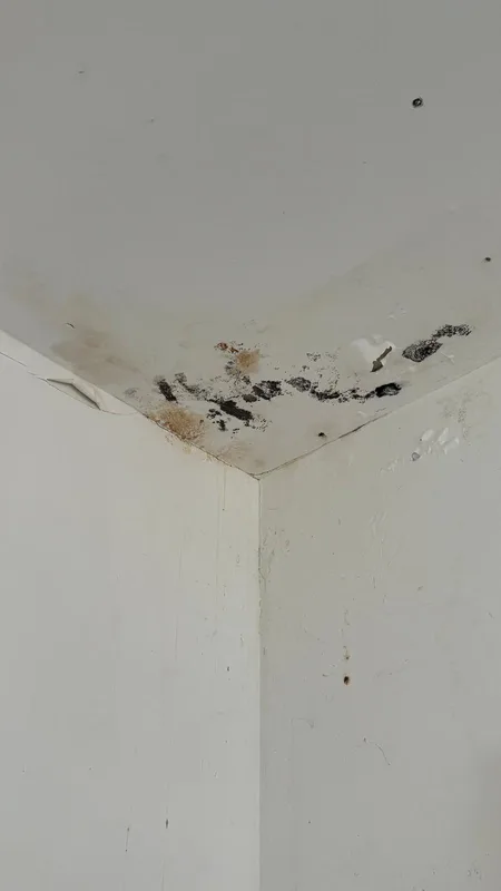 Угол потолка с чёрной плесенью и протечкой — до монтажа