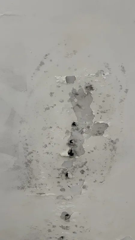 Потолок с плесенью и шелушением — до монтажа LuxeSpan